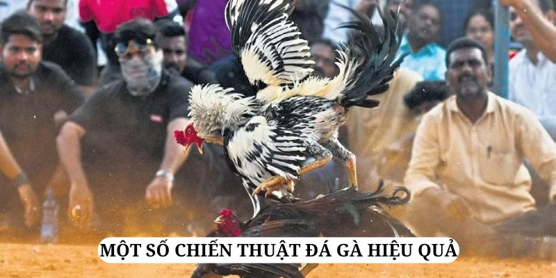 Áp dụng các chiến thuật thật khôn ngoan